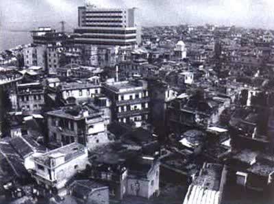 庆祝中央命名首批“经济特区”