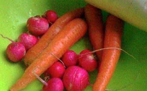 感恩教师节作文400字【经典6篇】