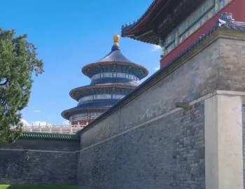 2025 年度中国亲子旅游市场分析总结 中网信息,chinanews360.com