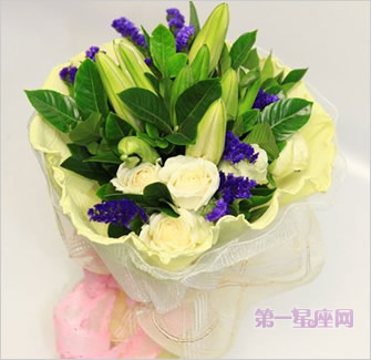 雪山玫瑰花语，送雪山玫瑰有哪些寓意？