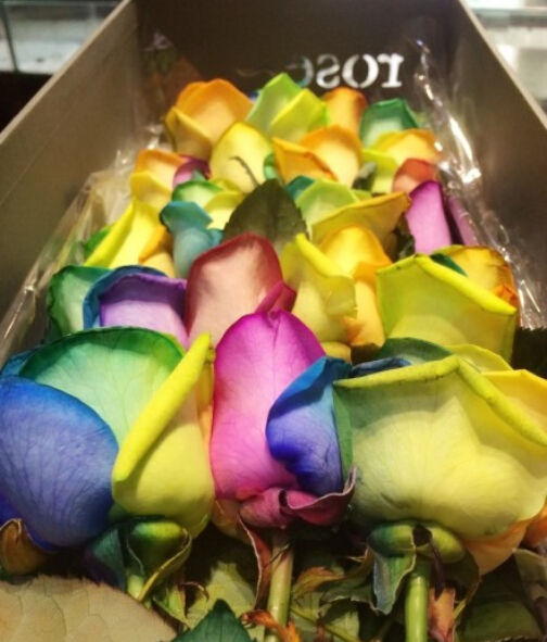 七彩玫瑰代表什么意思